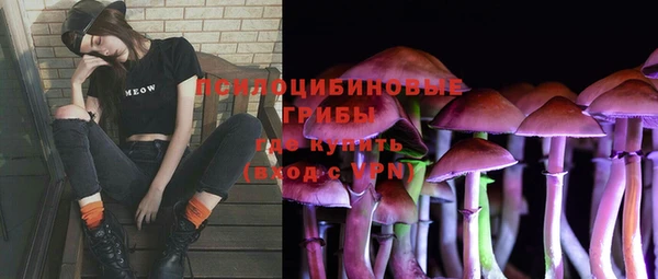 прущие грибы Балабаново