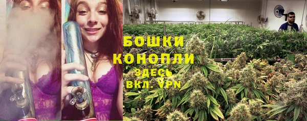 СК Аркадак