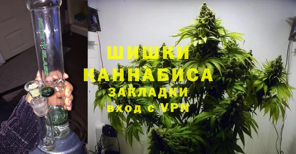 СК Аркадак
