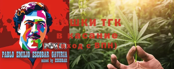прущие грибы Балабаново