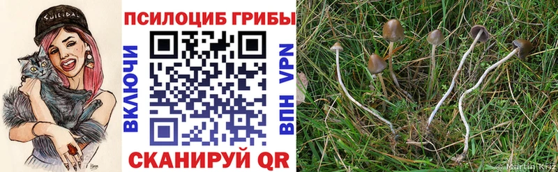 Галлюциногенные грибы ЛСД Новомосковск