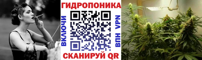 Бошки марихуана Amnesia  Новомосковск 
